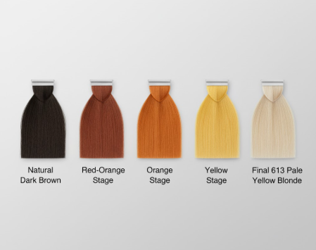 The Bleaching Process: From Dark to Lightest Blonde