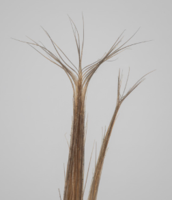 You Can Permanently Repair Split Ends