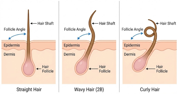 The Science of 2B Waves