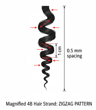 Defining 4B Hair Within the Andre Walker Hair Typing System